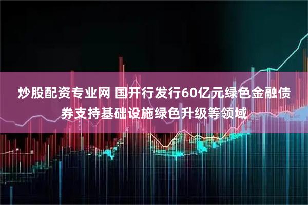 炒股配资专业网 国开行发行60亿元绿色金融债券支持基础设施绿色升级等领域
